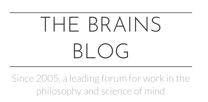 Brains Blog