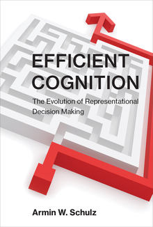 Efficient Cognition Cover